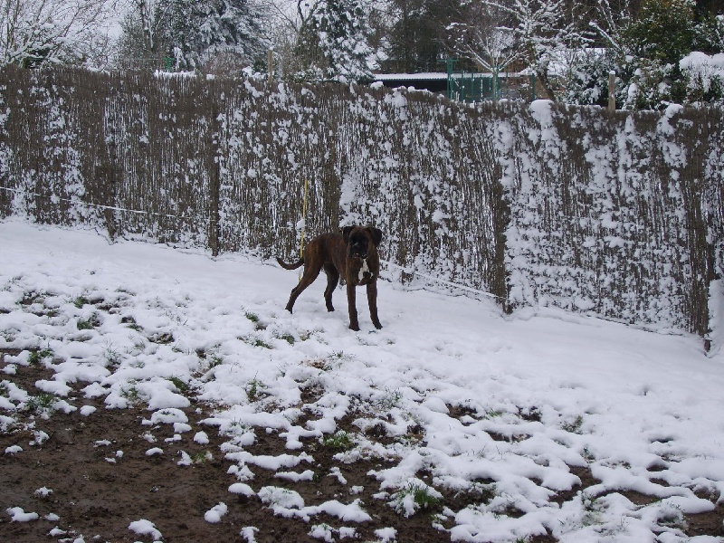 Bilitis du clos de troumouse